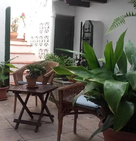 La Plaza A * Arico el Nuevo