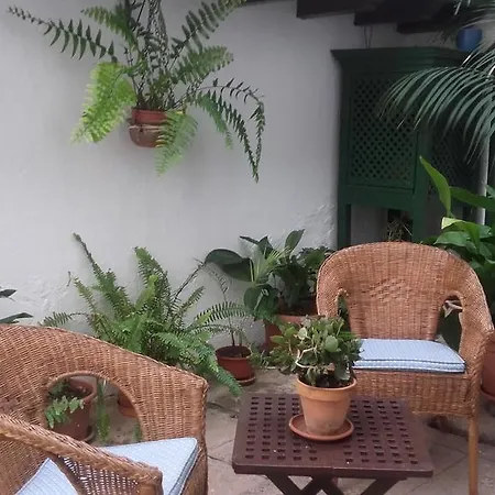 La Plaza A Arico el Nuevo